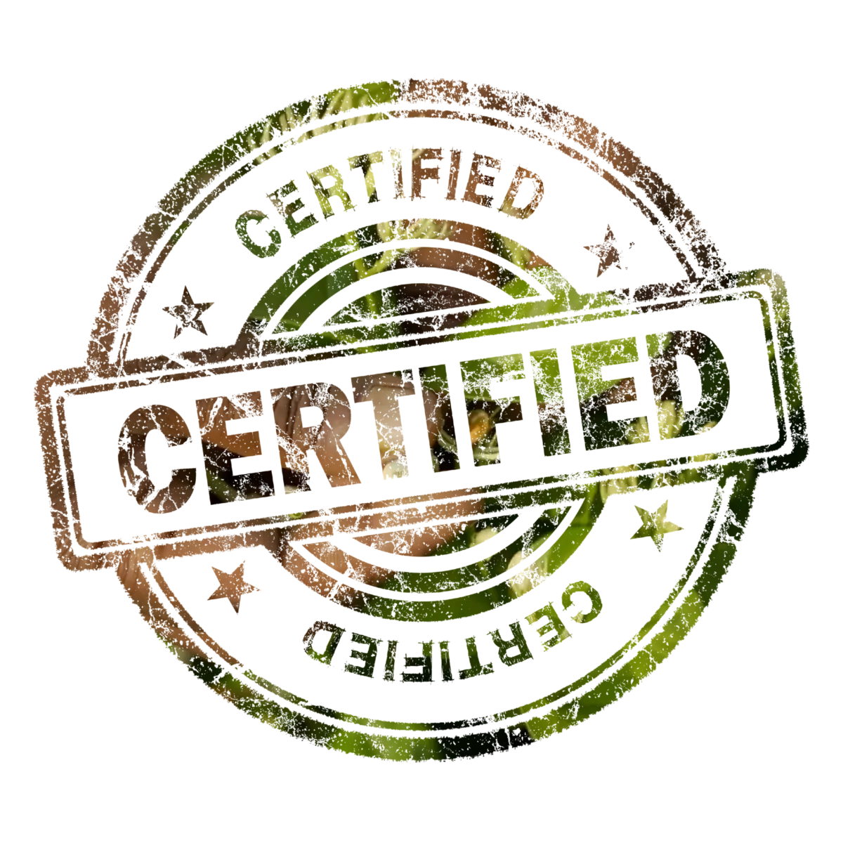Certified Badge