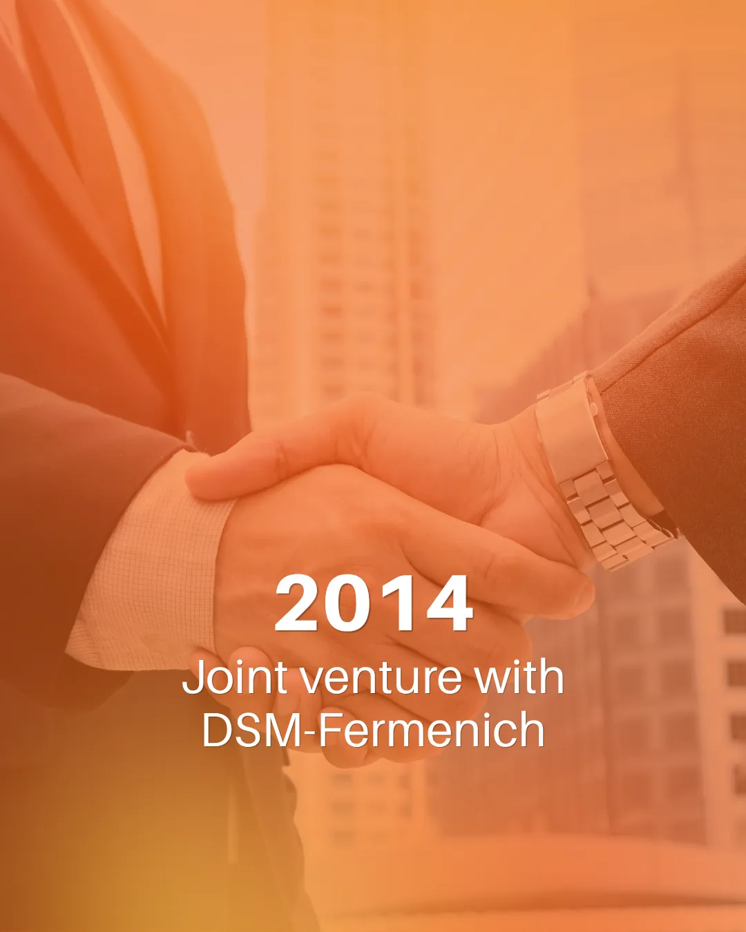DSM-Firmenich Joint Venture Facility