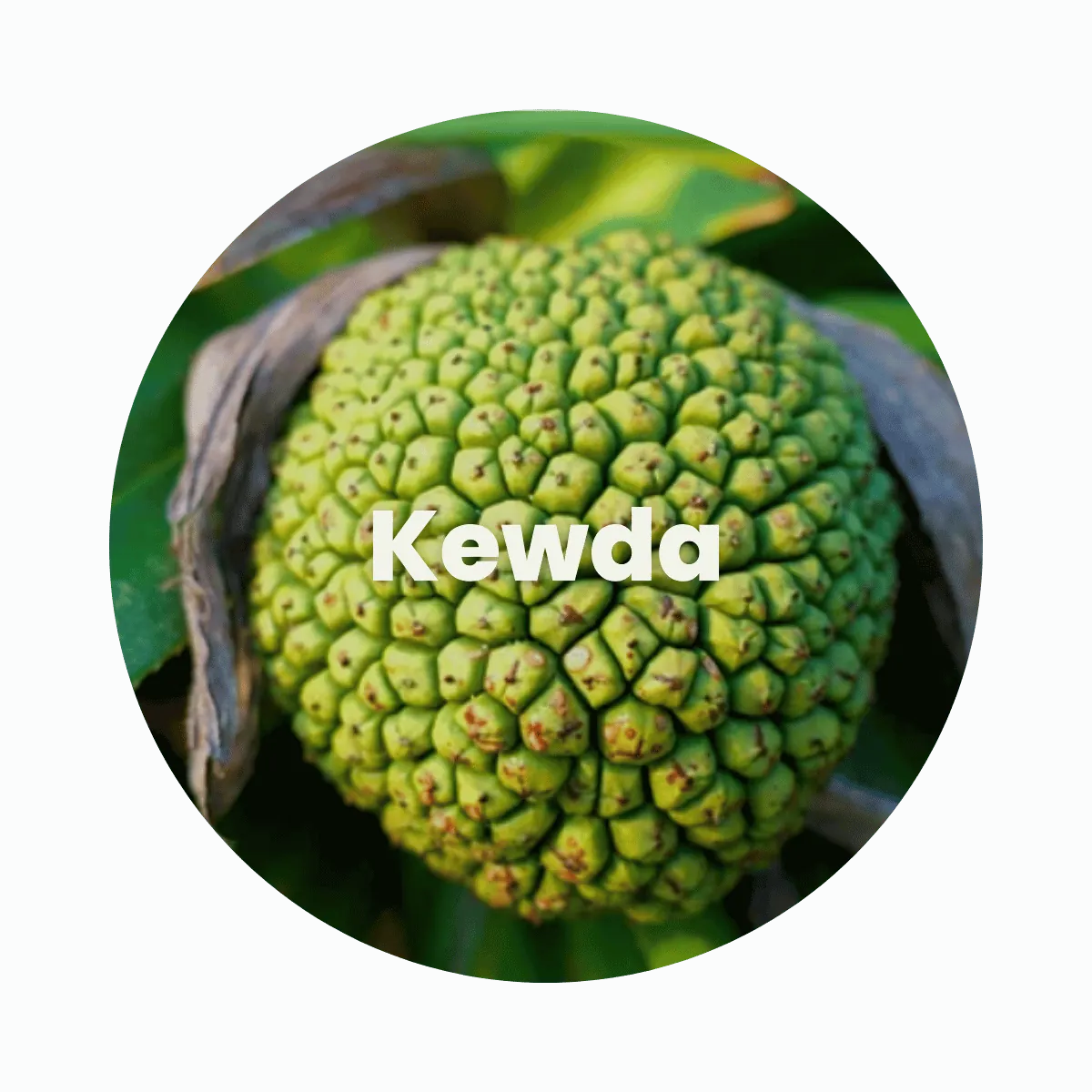 Kewda Concrete