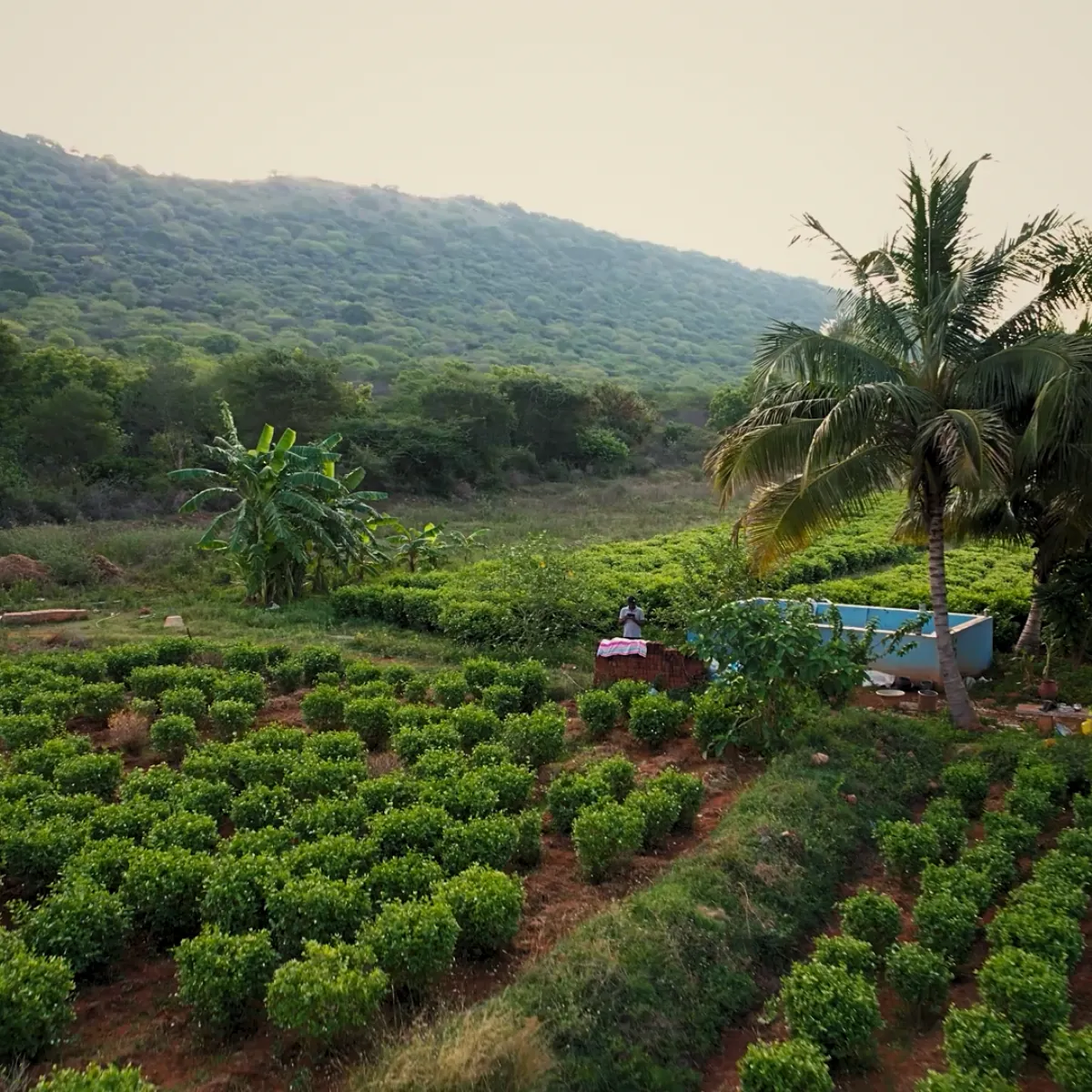 Ethical and sustainable farming